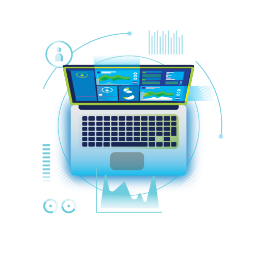 custom websites